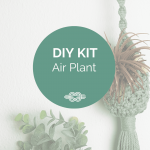 diy kit airplant makramee
